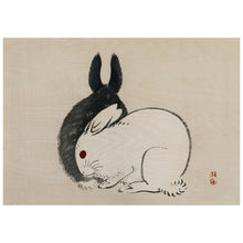 Load image into Gallery viewer, Black And White Rabbits