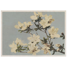 Load image into Gallery viewer, Vintage Japanese Azaleas