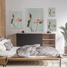 Load image into Gallery viewer, Photomechanical Prints Of Lotus Flowers
