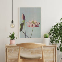Load image into Gallery viewer, Photomechanical Prints Of Lotus Flowers