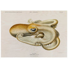 Load image into Gallery viewer, Octopus Vintage Poster