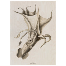 Load image into Gallery viewer, Cockeyed Squid Vintage Poster