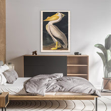Load image into Gallery viewer, Pelican