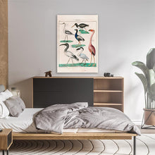 Load image into Gallery viewer, Vintage Colection Of Birds