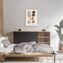 Load image into Gallery viewer, Vintage Shell Illustration