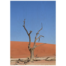 Load image into Gallery viewer, Dead Tree - Namib Desert
