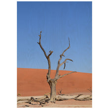 Load image into Gallery viewer, Dead Tree - Namib Desert