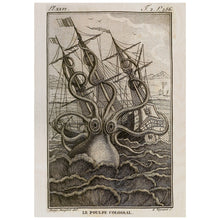 Load image into Gallery viewer, Vintage Giant Octopus