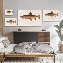 Load image into Gallery viewer, Brook Trout
