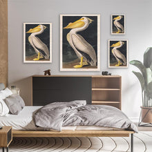 Load image into Gallery viewer, Pelican