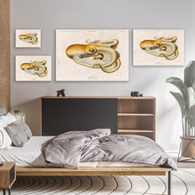 Load image into Gallery viewer, Octopus Vintage Poster