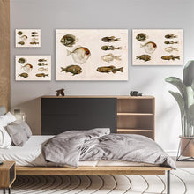 Load image into Gallery viewer, Deep Sea Fish Vintage Poster