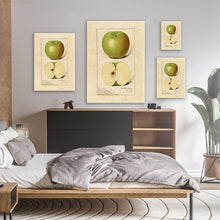 Load image into Gallery viewer, Green Apples