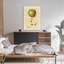 Load image into Gallery viewer, Green Apples