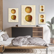 Load image into Gallery viewer, Mouldy Apples