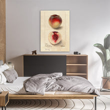 Load image into Gallery viewer, Peaches