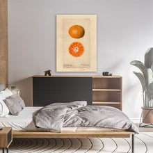 Load image into Gallery viewer, Oranges