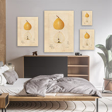 Load image into Gallery viewer, Asian Pear