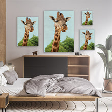 Load image into Gallery viewer, Giraffe