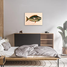 Load image into Gallery viewer, Parrot Fish