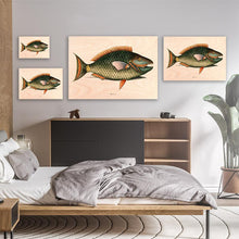 Load image into Gallery viewer, Parrot Fish