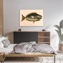 Load image into Gallery viewer, Parrot Fish
