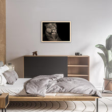 Load image into Gallery viewer, Hercules The Liger