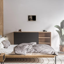 Load image into Gallery viewer, Hercules The Liger