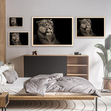 Load image into Gallery viewer, Hercules The Liger