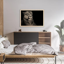 Load image into Gallery viewer, Hercules The Liger