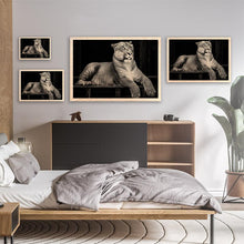 Load image into Gallery viewer, Hercules The Liger