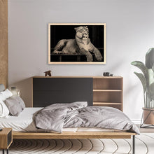 Load image into Gallery viewer, Hercules The Liger