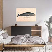 Load image into Gallery viewer, Bowhead Whale