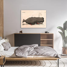 Load image into Gallery viewer, Funny Sperm Whale