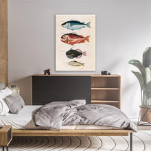 Load image into Gallery viewer, Fish 6