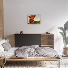 Load image into Gallery viewer, Angus Cow