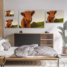 Load image into Gallery viewer, Angus Cow
