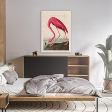 Load image into Gallery viewer, Pink Flamingo