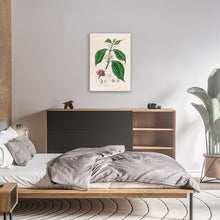 Load image into Gallery viewer, Coffee Arabica Illustration