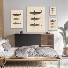 Load image into Gallery viewer, Orca