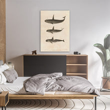 Load image into Gallery viewer, Orca