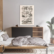 Load image into Gallery viewer, Vintage Animal Print