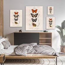 Load image into Gallery viewer, Collection Of Butterflies