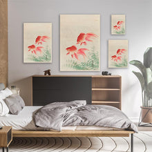 Load image into Gallery viewer, Two Veil Goldfish