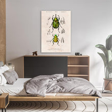 Load image into Gallery viewer, Eastern Hecules Beetle