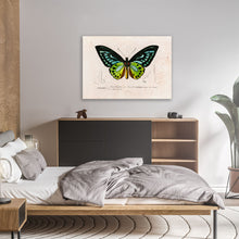 Load image into Gallery viewer, Green Birdwing