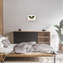 Load image into Gallery viewer, Green Birdwing