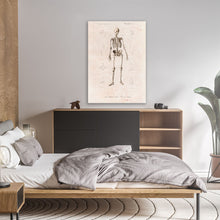 Load image into Gallery viewer, Human Skeleton