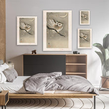 Load image into Gallery viewer, Long-Eared Owl In Ginkgo