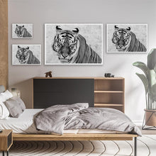 Load image into Gallery viewer, Wild Animal Sanctuary Tiger